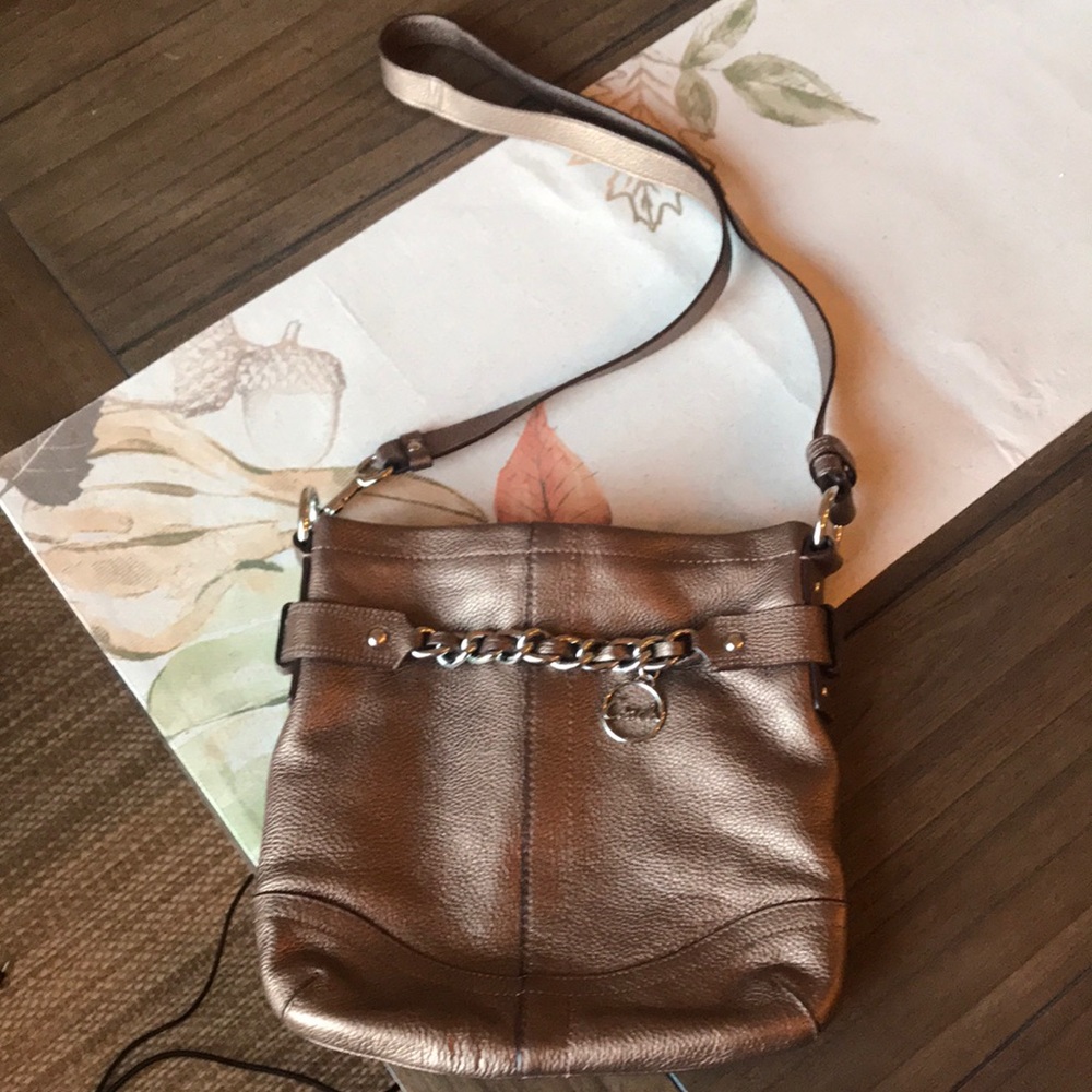 Bronze Coach Purse